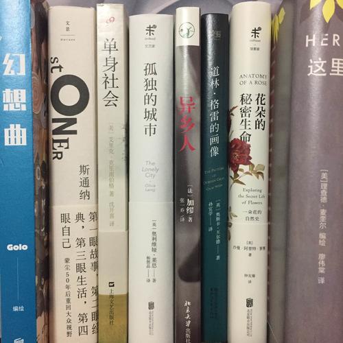 這里（精裝）:Here安古蘭漫畫節大獎作品