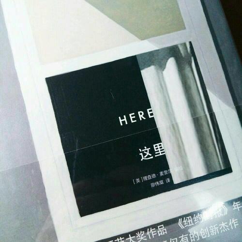 這里（精裝）:Here安古蘭漫畫節大獎作品