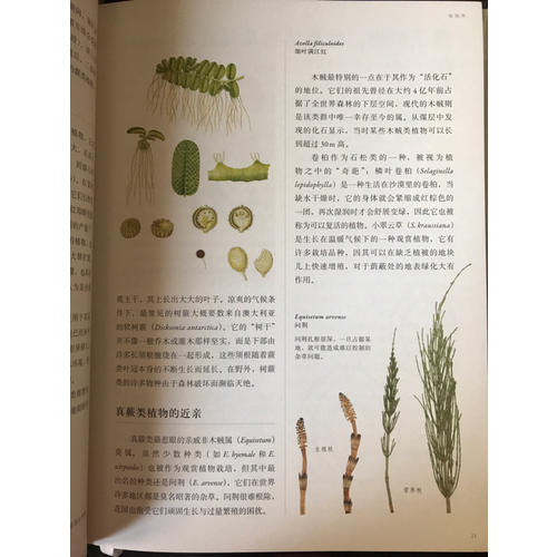 英國皇家園藝學(xué)會植物學(xué)指南