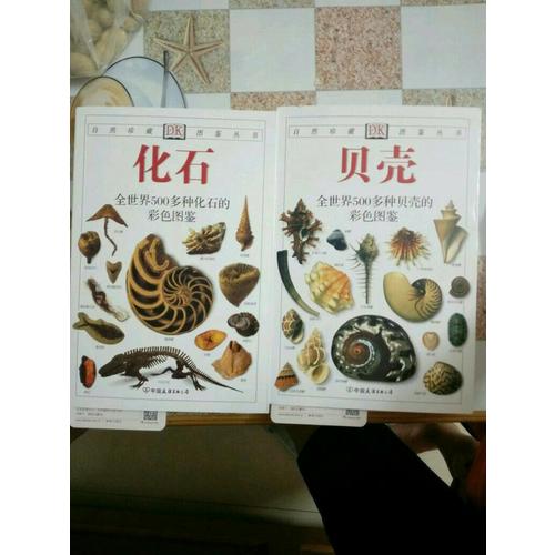 貝殼:全世界500多種貝殼的彩色圖鑒——自然珍藏圖鑒叢書
