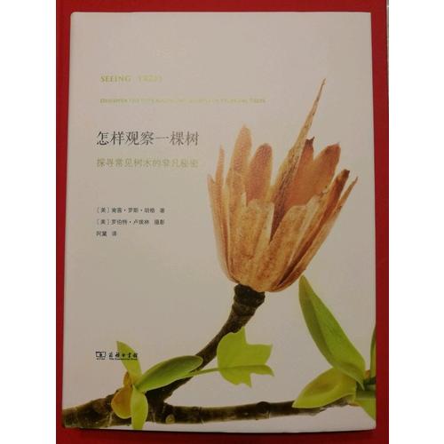怎樣觀察一棵樹(shù)