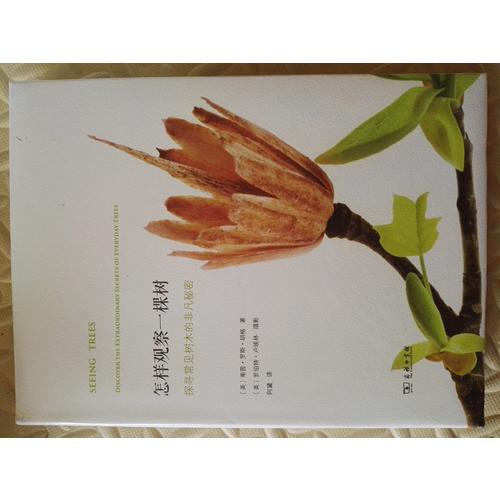 怎樣觀察一棵樹(shù)