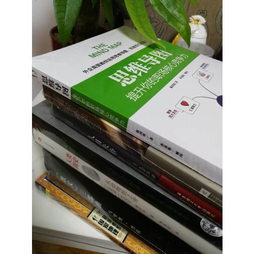 思維導圖 : 提升你的職場核心競爭力