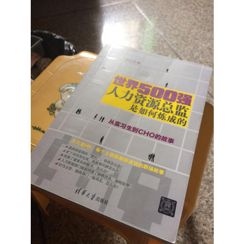 世界500強(qiáng)人力資源總監(jiān)是如何煉成的：從實(shí)習(xí)生到CHO的故事