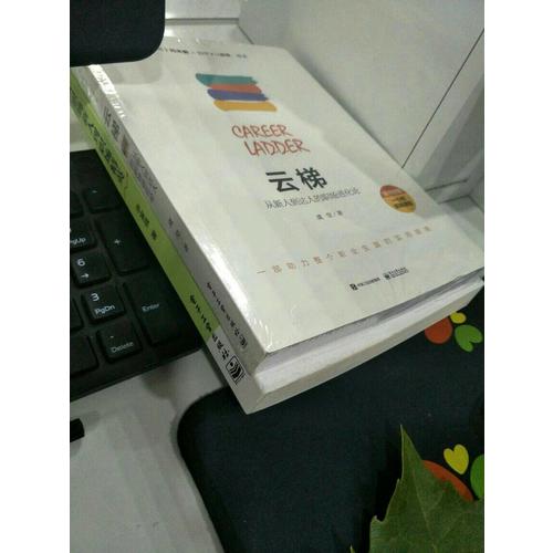 云梯：從新人到達人的職場進化論