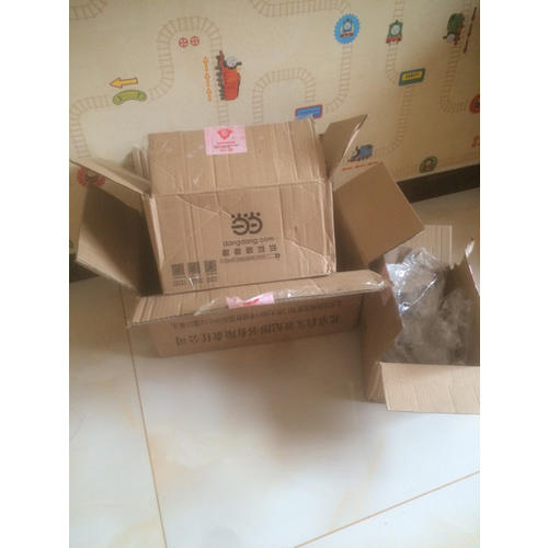 傅雷家書