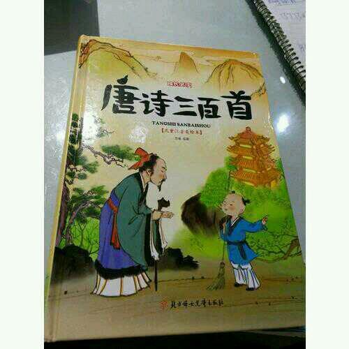 唐詩三百首 小學(xué)生 成長必讀 繪本 注音版