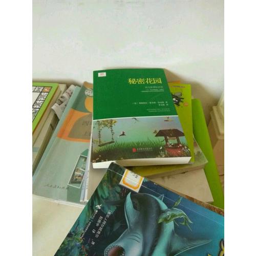 秘密花園(新課標，翻譯文化終身成就獎獲得者李文俊傾情翻譯)