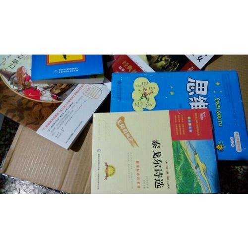 小學思維訓練：思維導圖