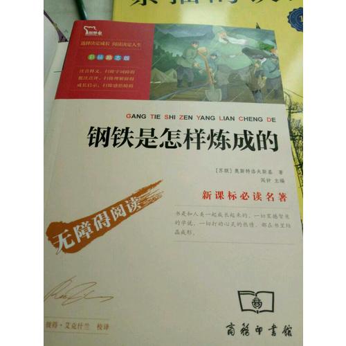 鋼鐵是怎樣煉成的（中小學新課標必讀名著 ）57000多名讀者熱評！
