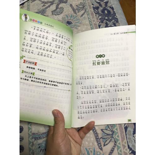 木偶奇遇記 小學語文新課標必讀叢書 彩繪注音版