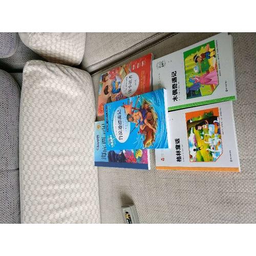 木偶奇遇記 小學語文新課標必讀叢書 彩繪注音版