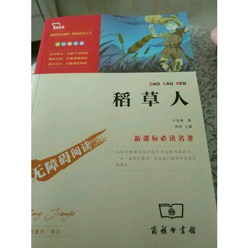 稻草人（中小學(xué)新課標(biāo)必讀名著）36000多名讀者熱評(píng)！