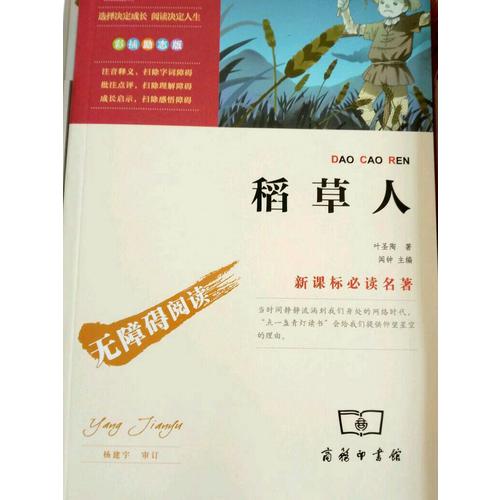 稻草人（中小學(xué)新課標(biāo)必讀名著）36000多名讀者熱評(píng)！