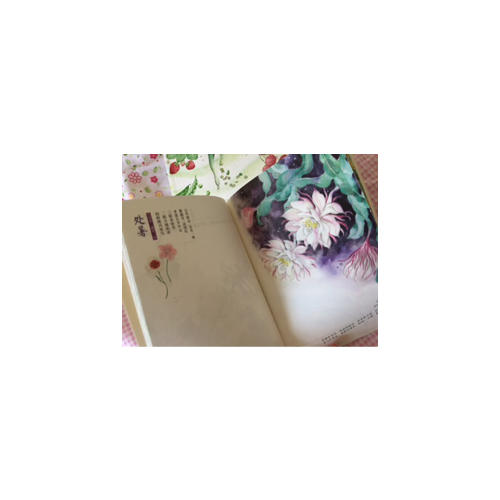 節(jié)氣手帖——蔓玫的蔬果志