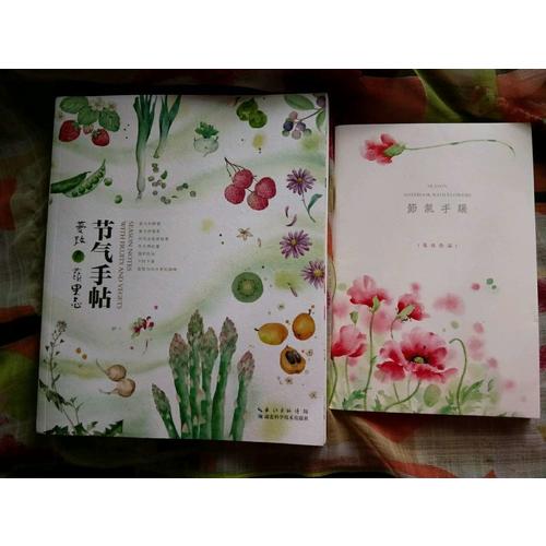 節(jié)氣手帖——蔓玫的蔬果志