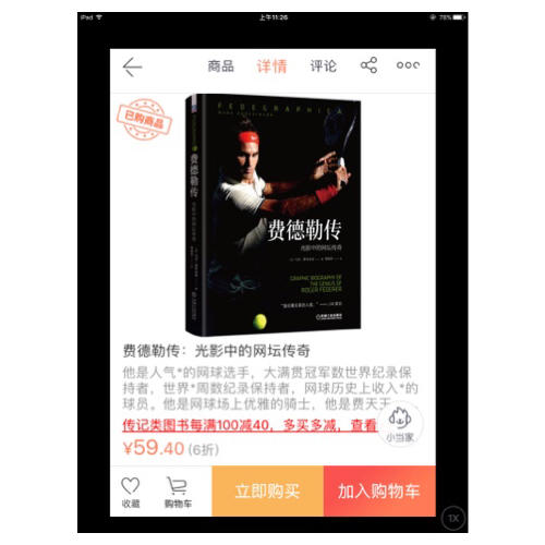 費(fèi)德勒傳：光影中的網(wǎng)壇傳奇