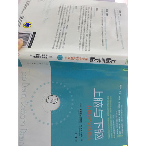 上腦與下腦：找到你的認知模式