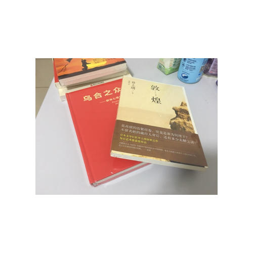 敦煌（引領無數讀者奔赴敦煌莫高窟，驚天動地講述藏經洞千古之謎）