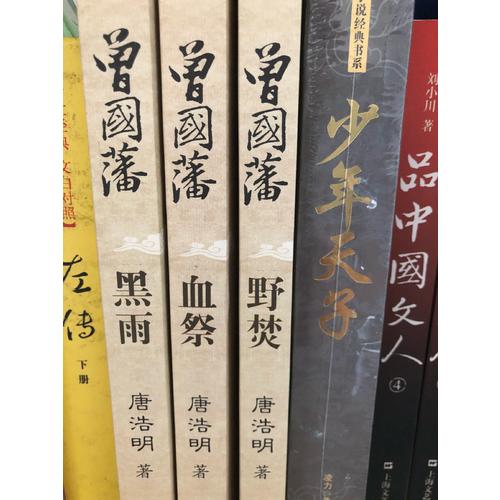 少年天子（長篇歷史小說經典書系）