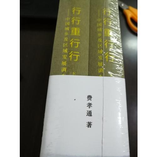 行行重行行——中國城鄉(xiāng)及區(qū)域發(fā)展調(diào)查（上、下）