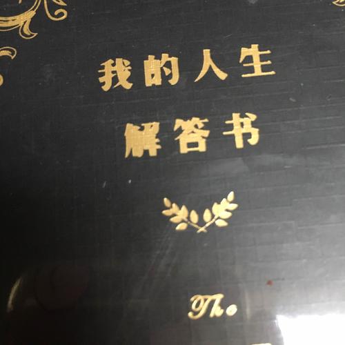 我的人生解答書