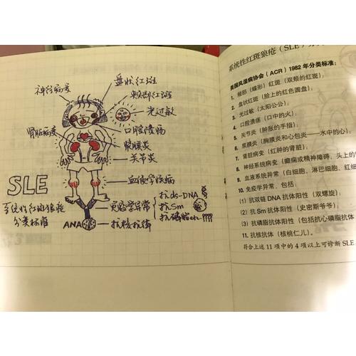 一分鐘醫(yī)學速記·協(xié)和醫(yī)學博士的漫畫筆記