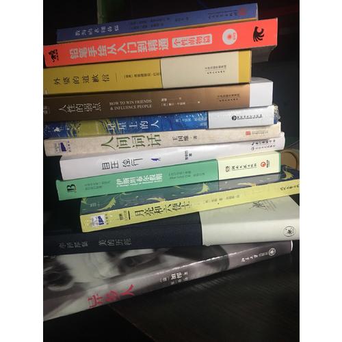 塞普爾維達童話：教海鷗飛翔的貓