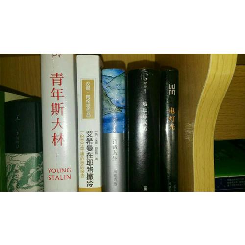 艾希曼在耶路撒冷：一份關(guān)于平庸的惡的報(bào)告
