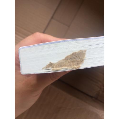 洋蔥頭歷險記