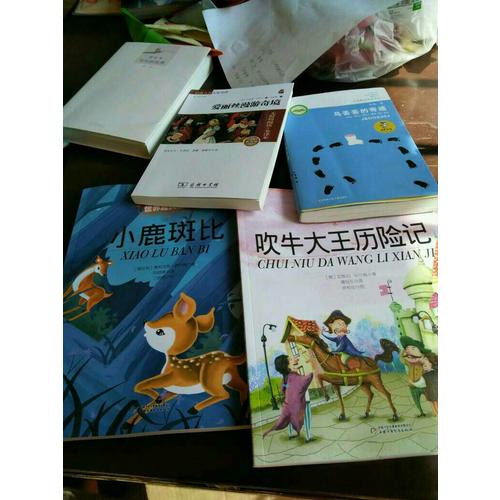 最能打動孩子心靈的世界經典童話·吹牛大王歷險記（美繪版）