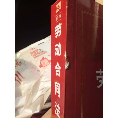 新編勞動合同法小全書