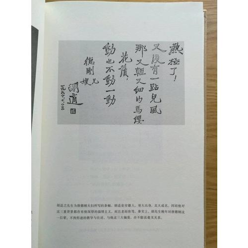 胡適雜憶（精裝）
