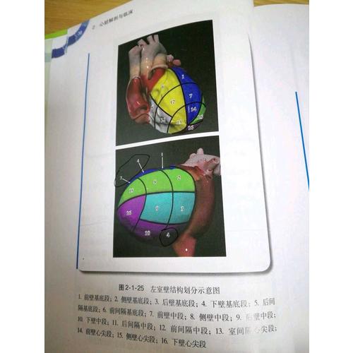 心血管內科醫生成長手冊（配增值服務）