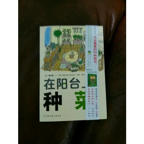 在陽臺上種菜