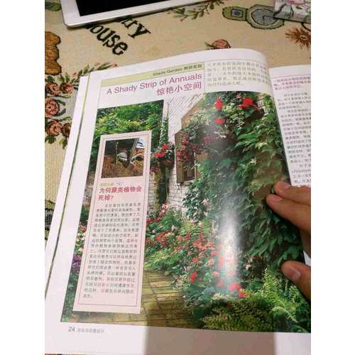 花壇與花鏡設計