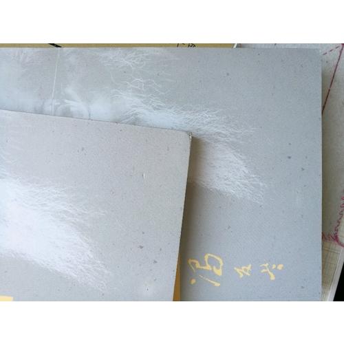 中國哲學史（全二冊）