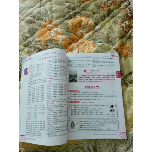 2017秋 小學(xué)教材全解 五年級語文上