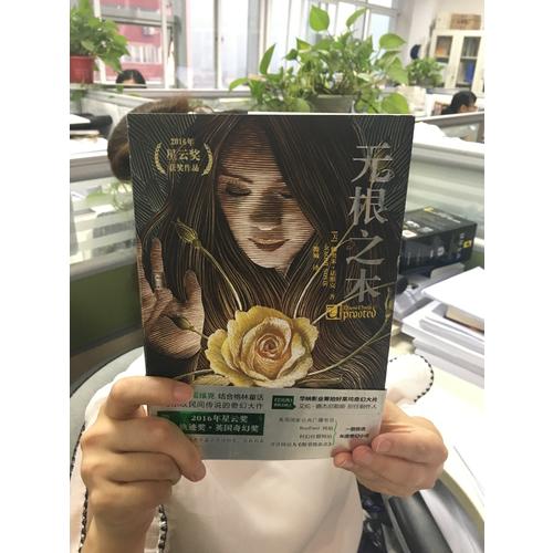 無根之木
