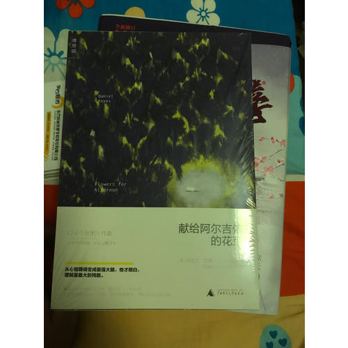 獻(xiàn)給阿爾吉儂的花束（新譯本）