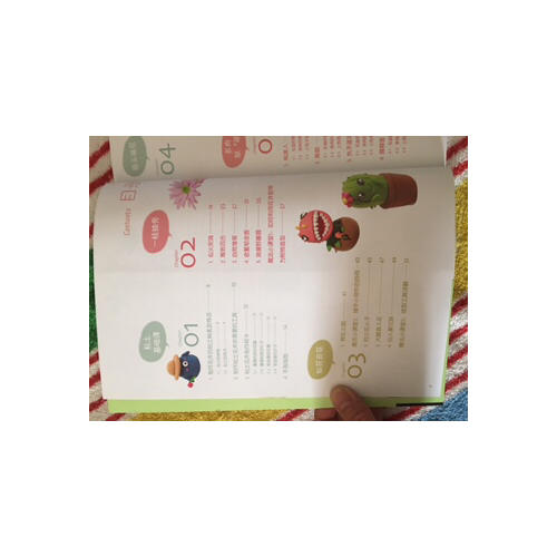 7號(hào)人輕松粘土魔法書(shū)·清新花草篇