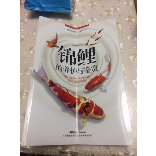錦鯉的養護與鑒賞