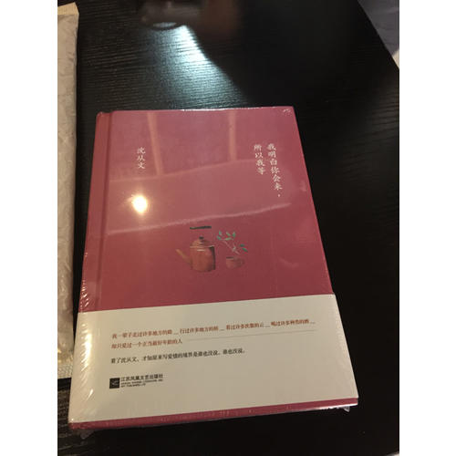 我明白你會來，所以我等