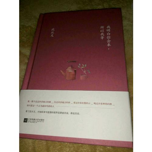 我明白你會來，所以我等