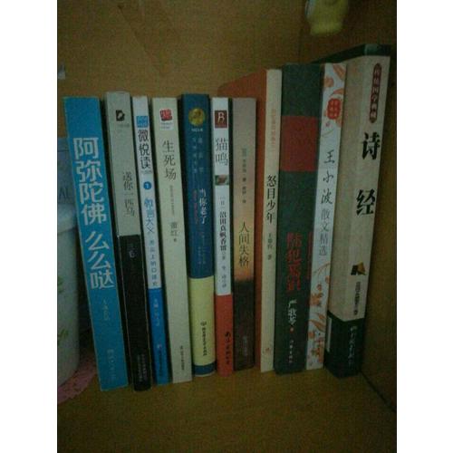 諾貝爾文學(xué)獎(jiǎng)大系·當(dāng)你老了