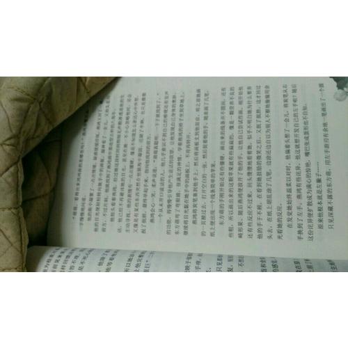 天下及時萌夫