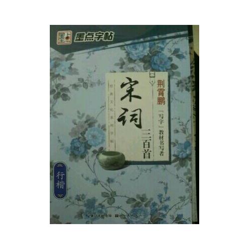 墨點(diǎn)字帖 經(jīng)典文化系列字帖 宋詞三百首行楷 鋼筆字帖