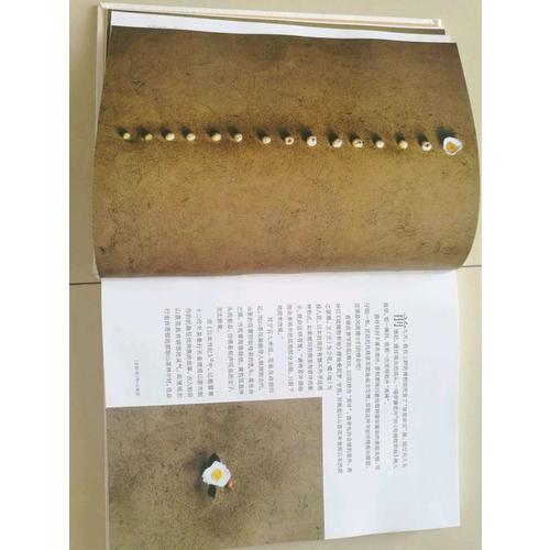 四季花傳書