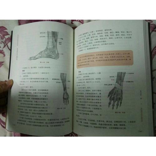 經絡醫(yī)學概論