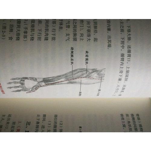 經絡醫(yī)學概論